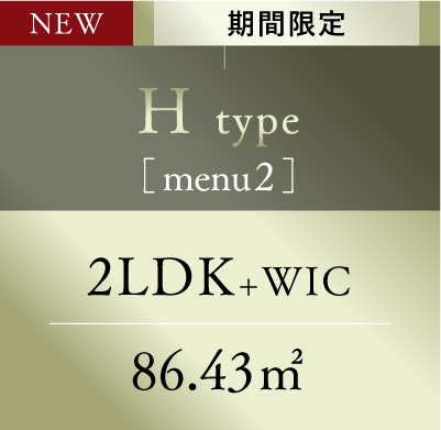 Htype_menu2